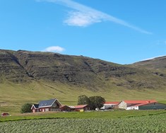 Snartarstaðir