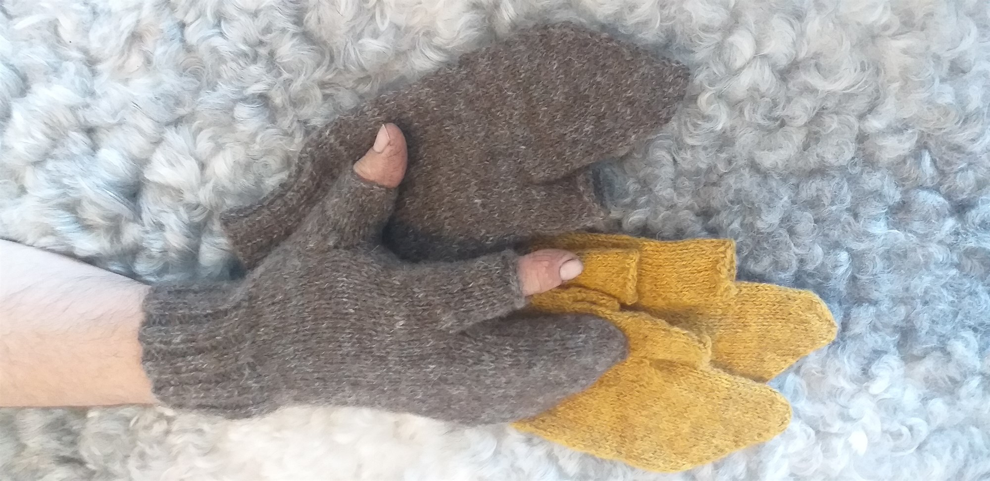 Dominik herravettlingar