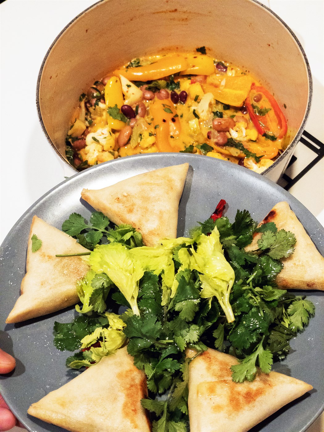 Indverskur  grænmetisréttur (Dal Karry Samosa)