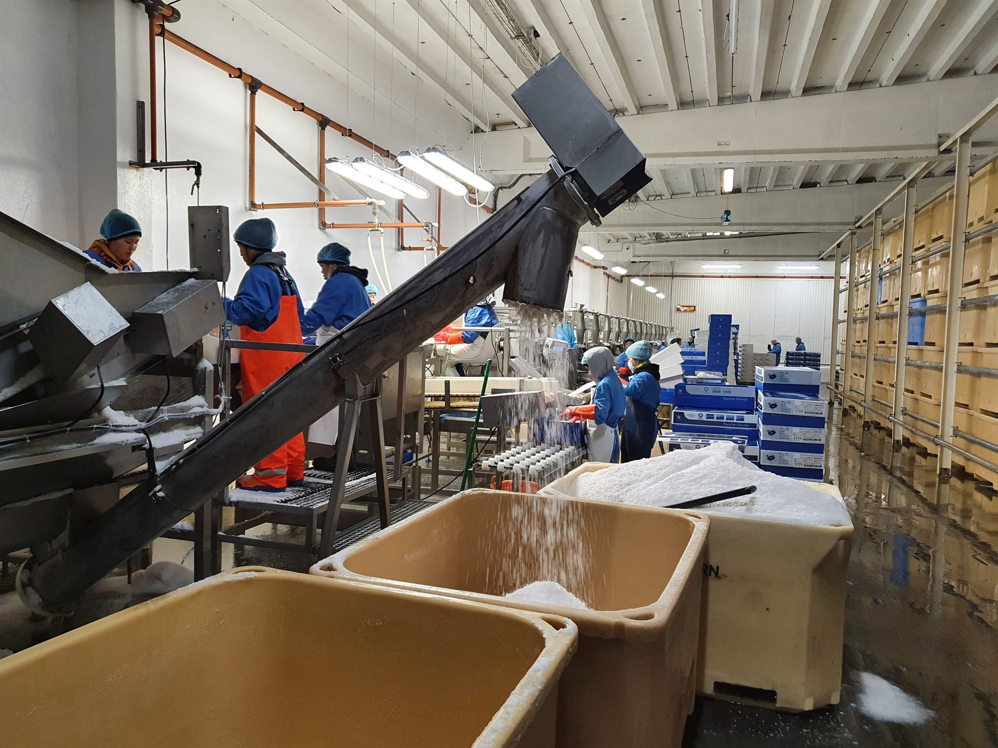 Áttatíu milljarða útflutningstekjur Grindvíkinga í húfi