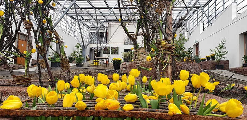 Sumarkomunni fagnað