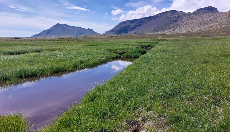 Loftslagsmál: Umræða á villigötum