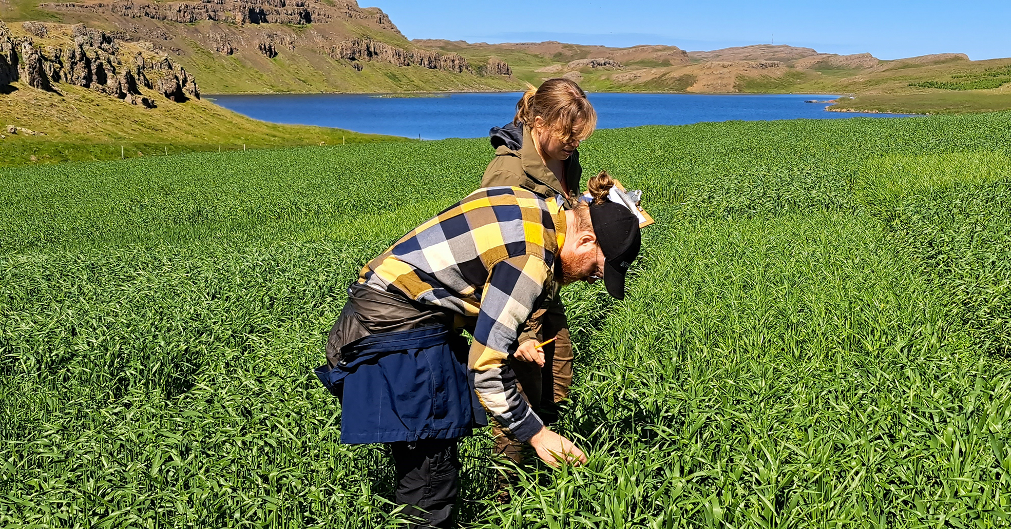 Samnorrænt verkefni um fæðuöryggi