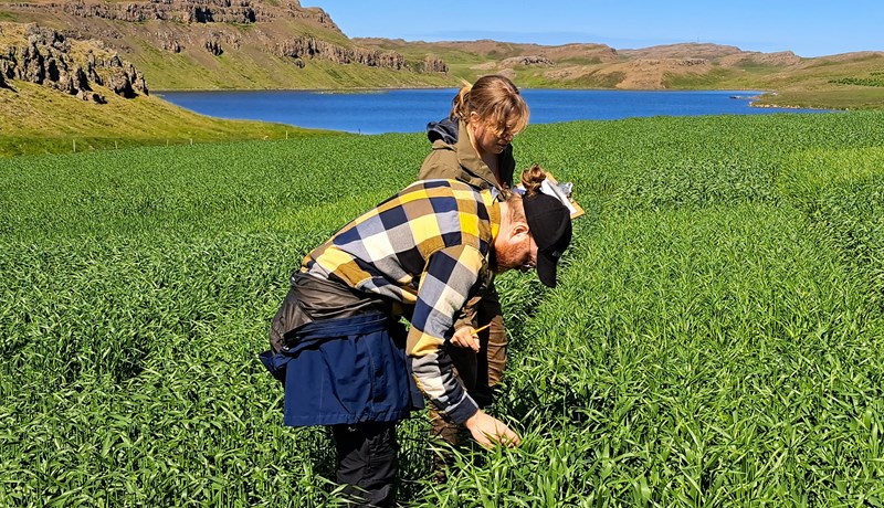 Samnorrænt verkefni um fæðuöryggi