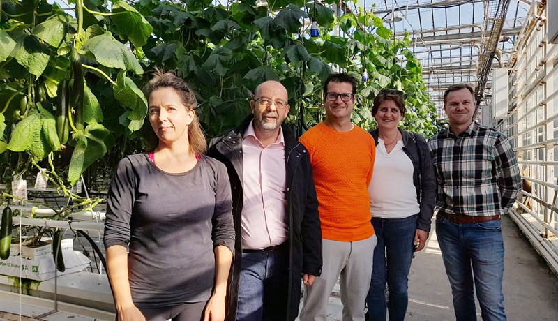 Tækifæri á sviði ylræktar