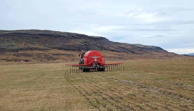 Kjötmjöl verður hægt að nota sem áburð