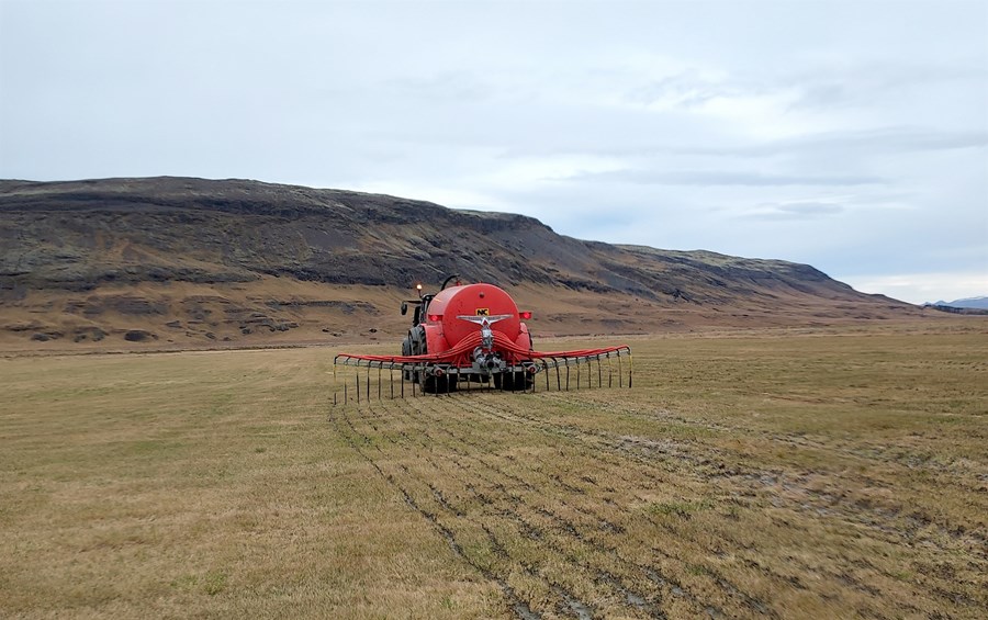 Frá áburðartilraun bræðranna Ísaks og Loga Jökulssona, þar sem kjötmjöli og kúamykju er blandað saman til áburðargjafar.