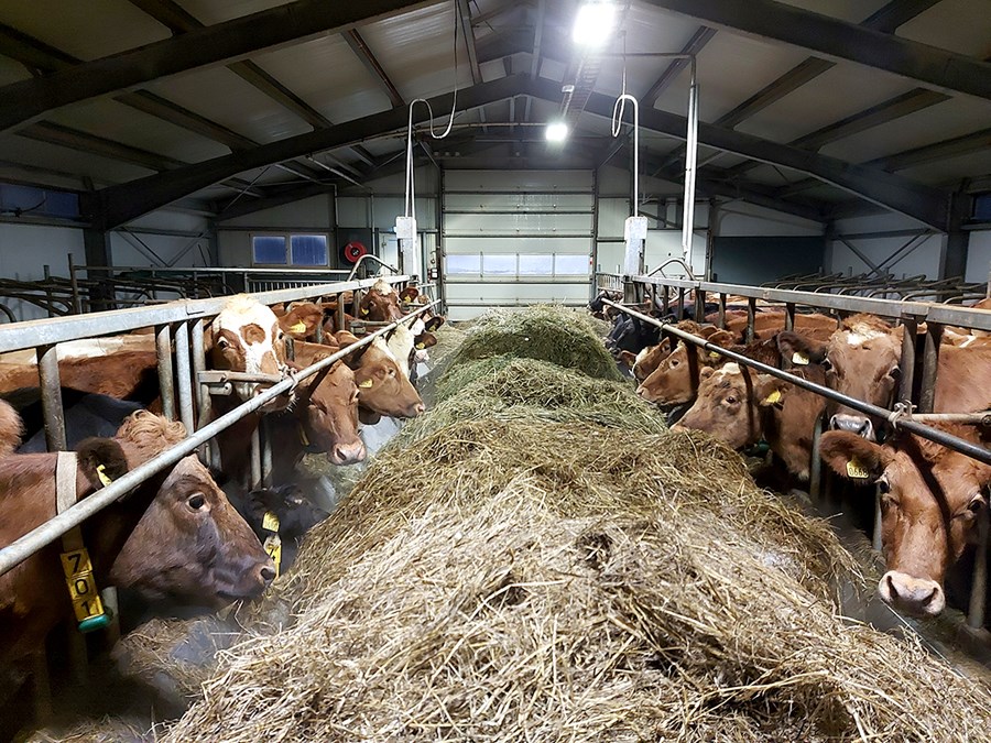 Frá Sólheimum í Sæmundarhlíð í Skagarfirði