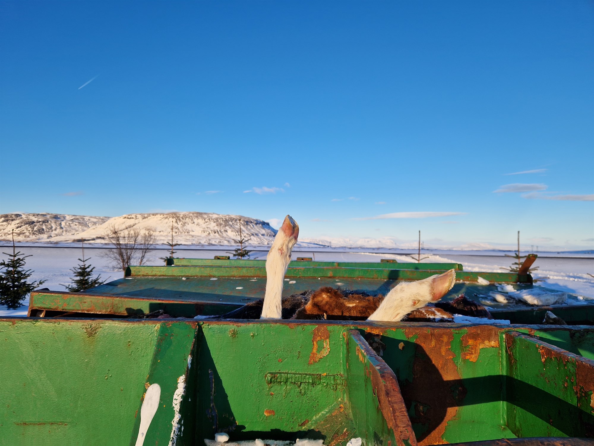 Samræmt söfnunarkerfi