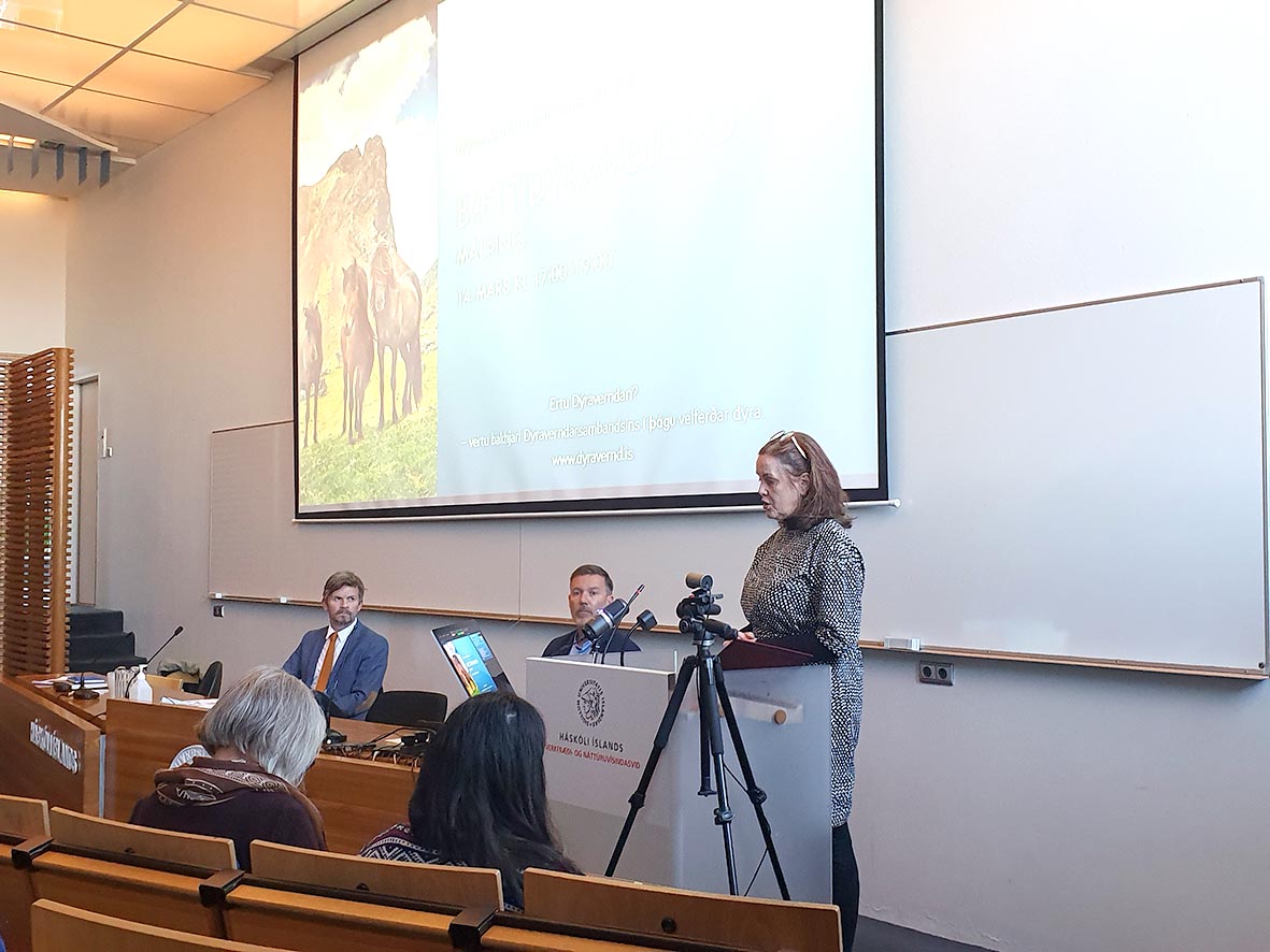 Tillaga um dýravelferðarstofu