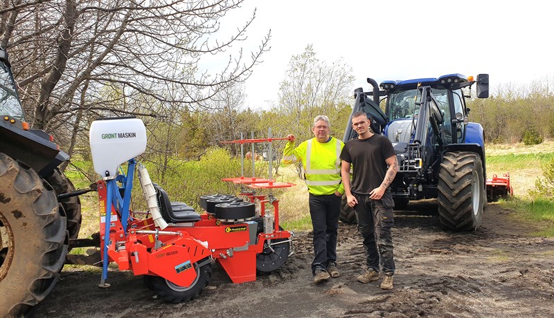 Sexföld stækkun útiræktunar grænmetis