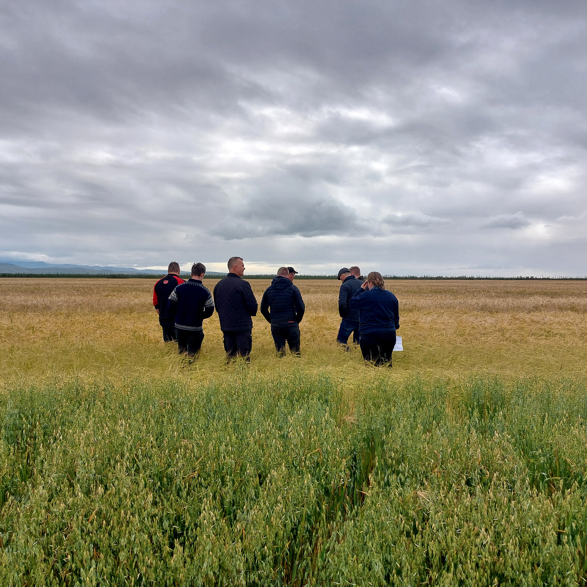 Farsælir bændahópar