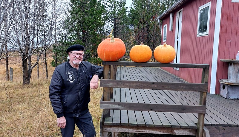 Farsæl tilraunaræktun á graskerum