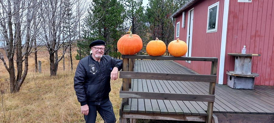 Helgi Sigfússon ræktaði til gamans grasker í sumar og uppskar um 40 stykki af aldinum. Hann telur ágæta möguleika vera fyrir graskersframleiðslu á Íslandi.