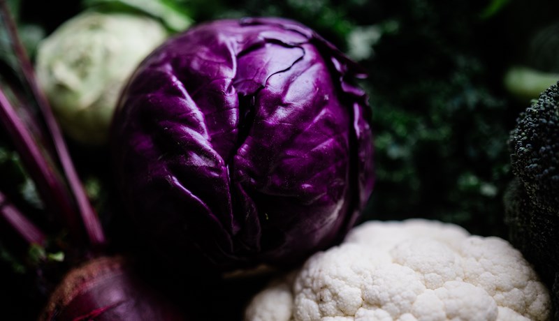 Enginn hvati til framleiðsluaukningar