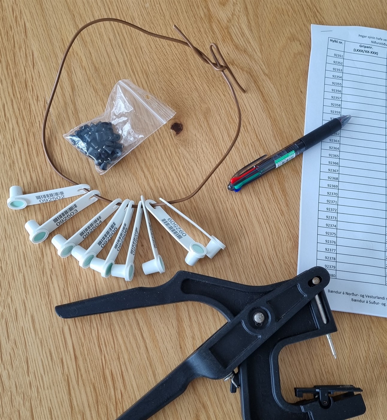 Riðuarfgerðargreiningar – hagnýt atriði fyrir sauðburð