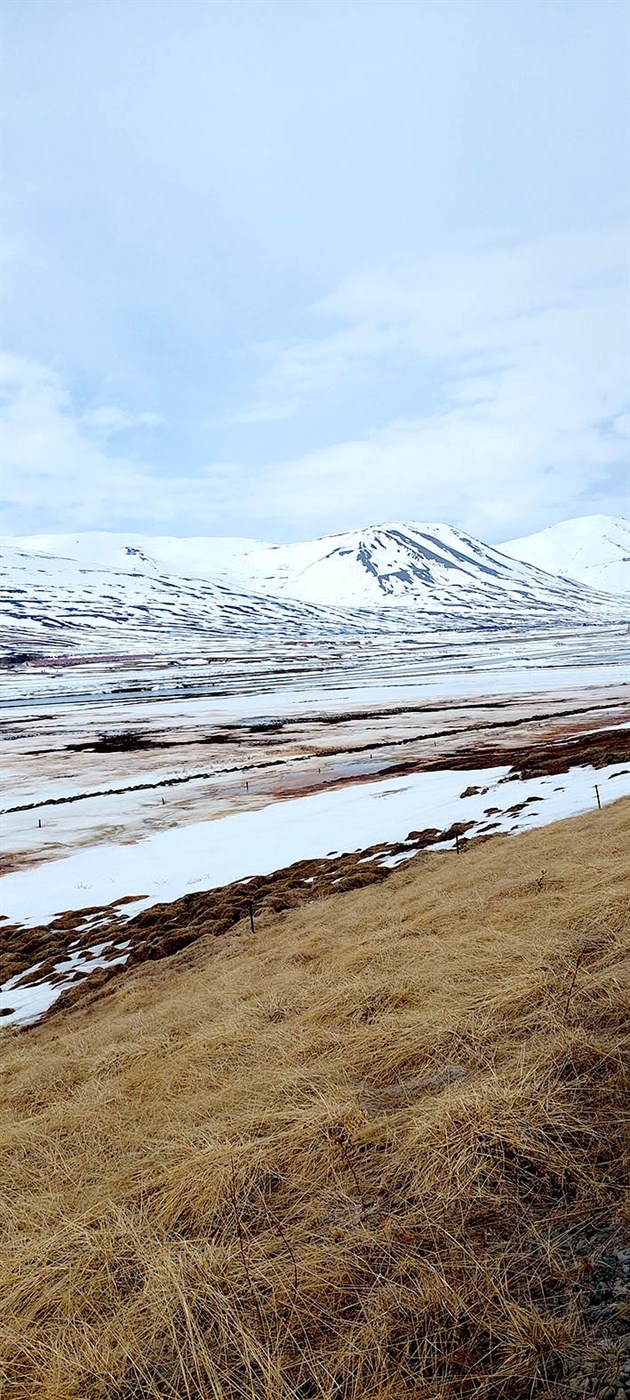 Svarfaðardalurinn 5. maí.