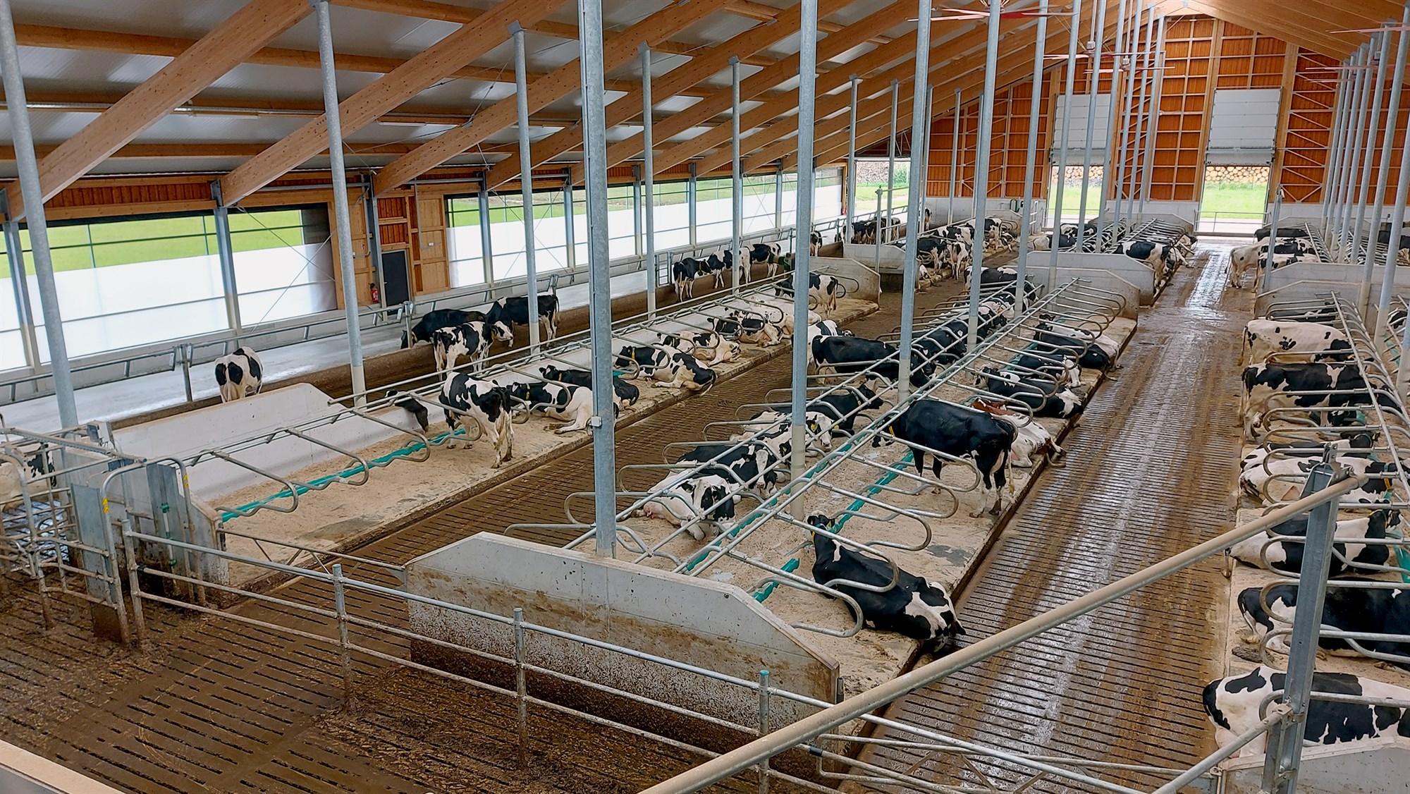 Frá ráðstefnu ICAR í Bled í Slóveníu – 3. hluti