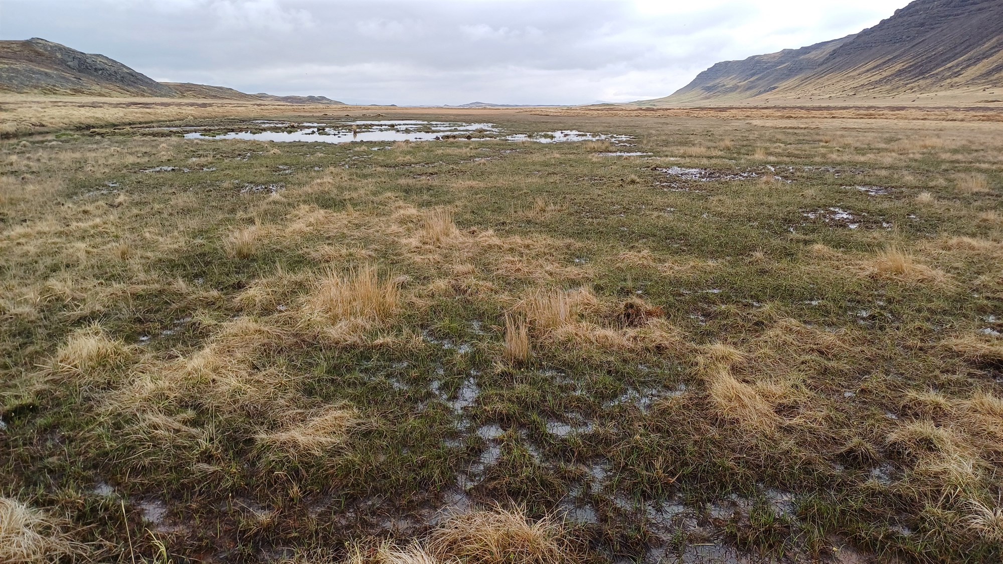 Verkefni á sviði endurheimtar og líffræðilegs fjölbreytileika