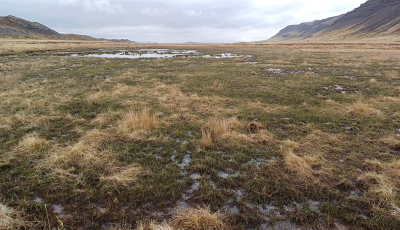 Verkefni á sviði endurheimtar og líffræðilegs fjölbreytileika