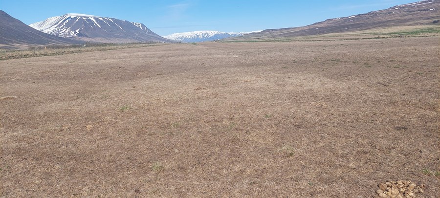 Frá Ytri-Bægisá í Þelamörk. Hvítu fjöllin í baksýn eru út í Höfðahverfi. Grenivíkurfjall, Leirdalsöxl og Laufáshnjúkur. 