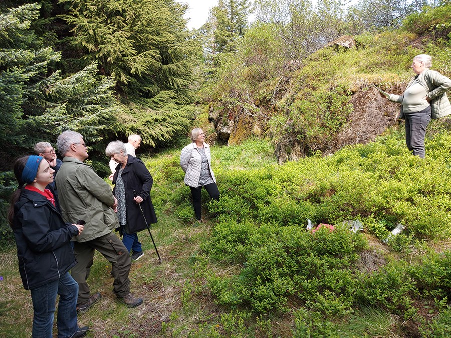 Úr Hnausaskógi í Þorskafirði þar sem Arnlín er að segja frá Jochum sem hóf skógræktina á þessum stað.
