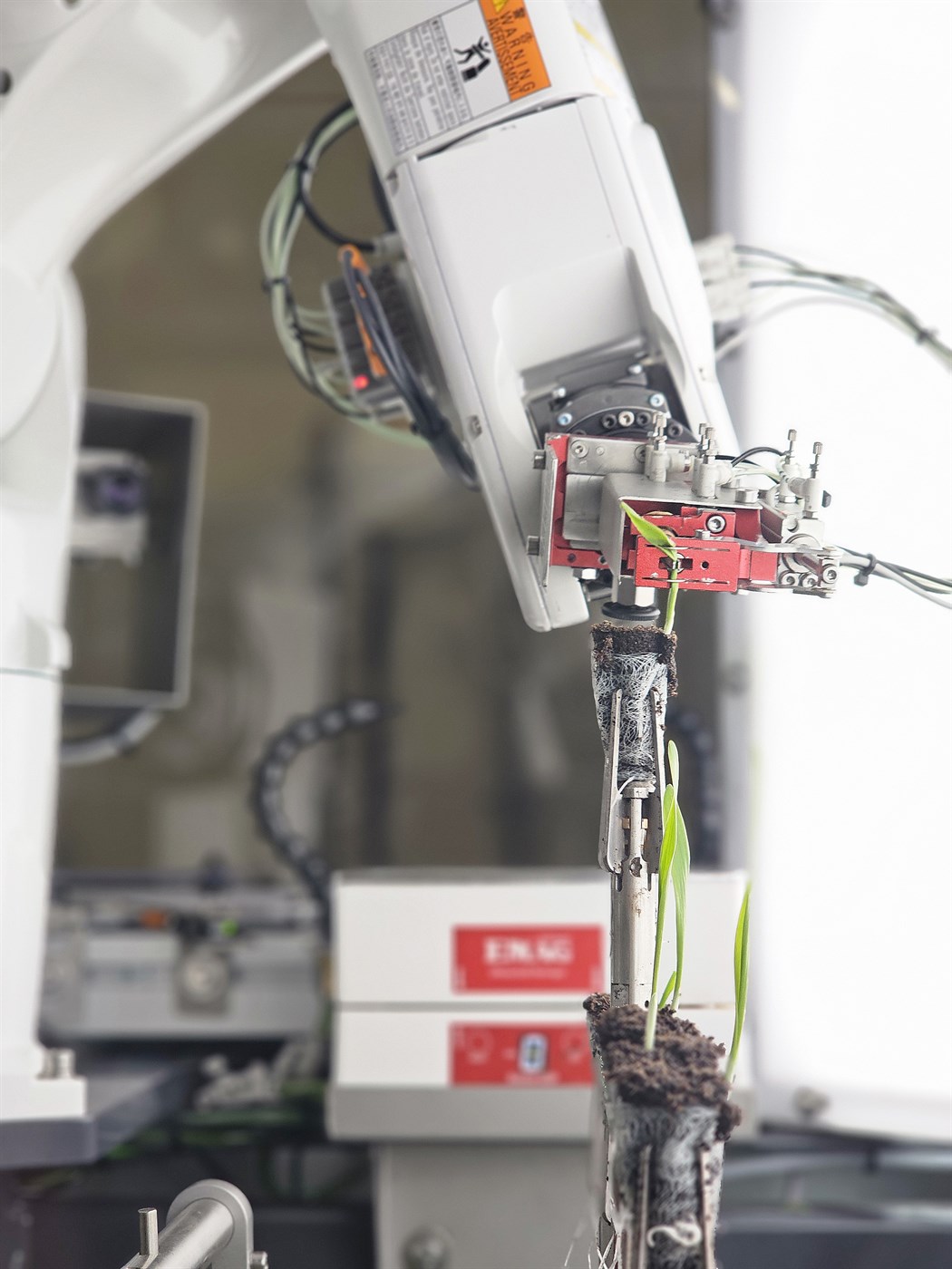 Miklar tækniframfarir í plöntukynbótum