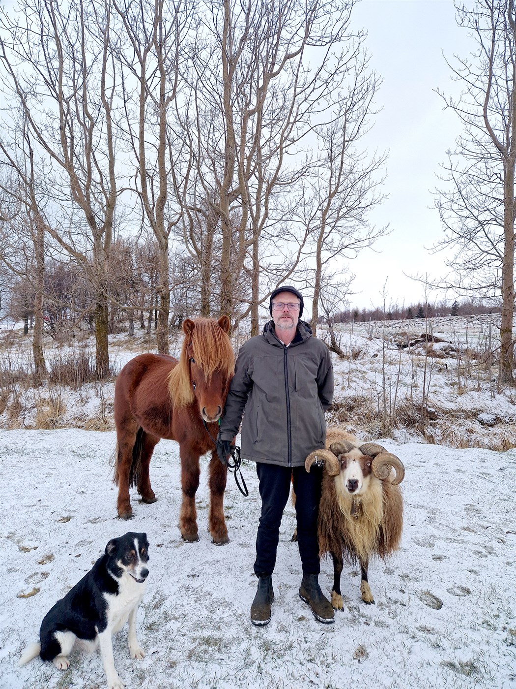 Arkar fram í eyðidal með forystuhrút í bandi