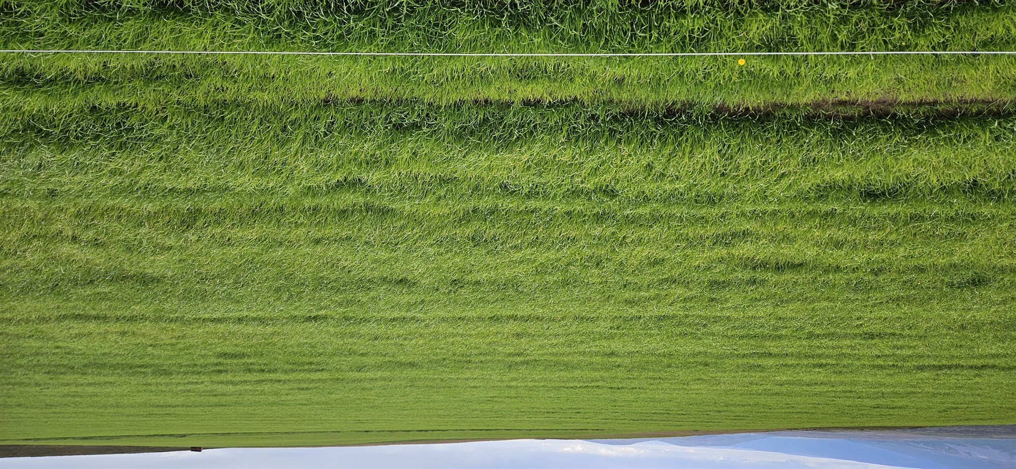 Framboð og val á sáðvöru vorið 2026