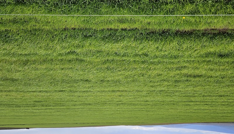 Framboð og val á sáðvöru vorið 2026