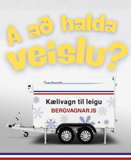 Ertu að skipuleggja veislu og vantar þig