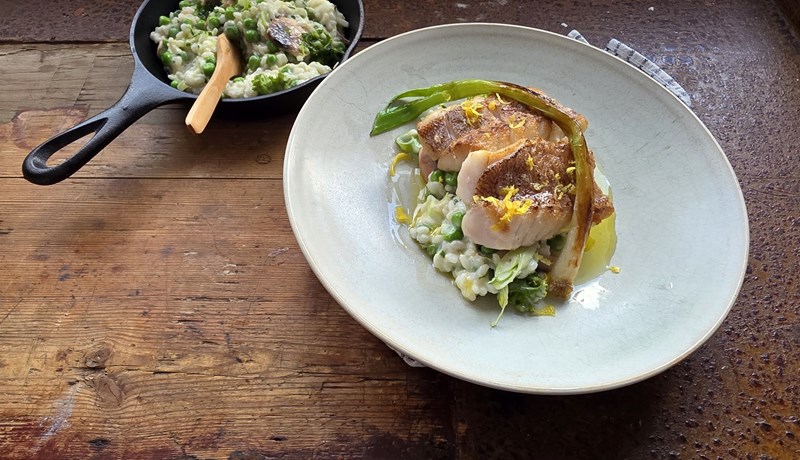 Steiktur karfi með risotto, sveppum, vorlauk og ertum