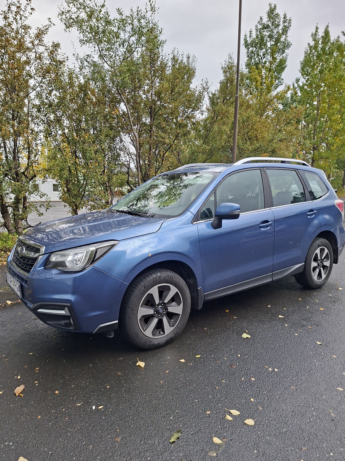 Eðaleintak Subaru Forrester 2018, ekin