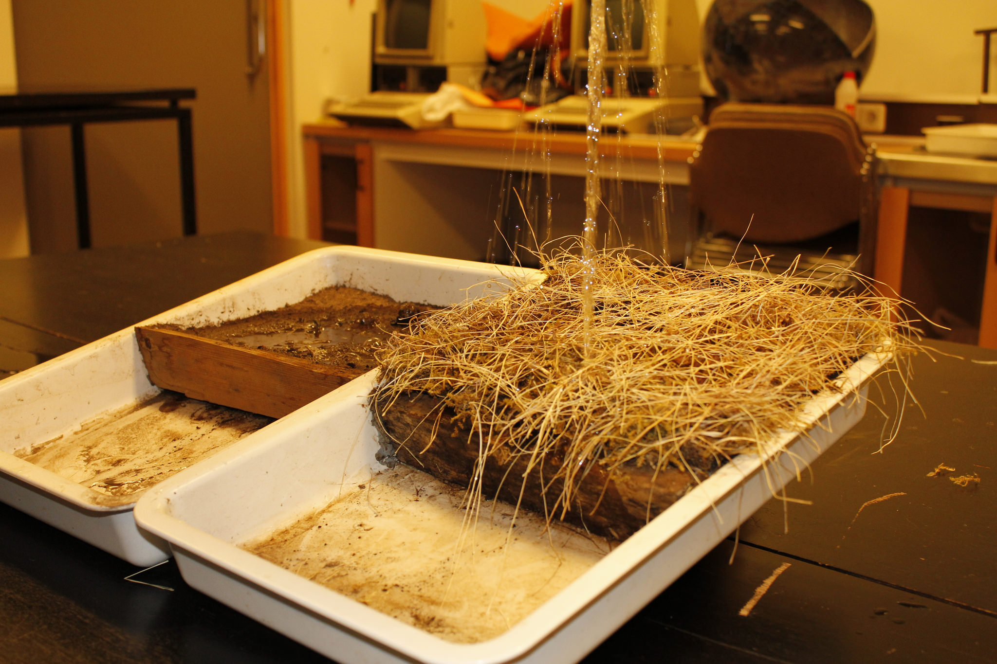 „Reyndu nú að skíta þig ekki út“