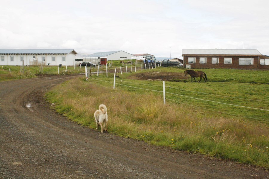 Hrafnkelsstaðir
