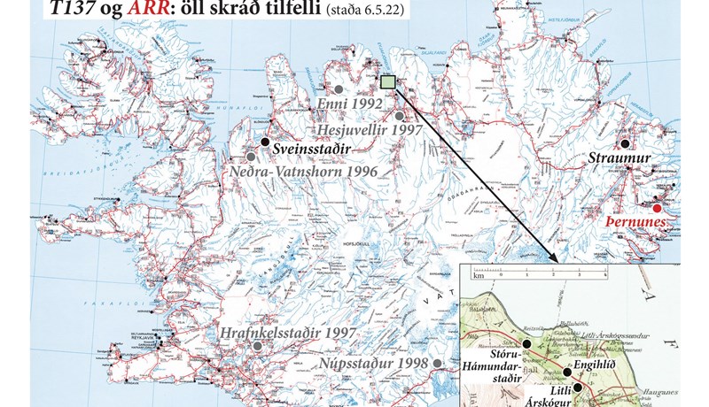 Arfgerðin T137 finnst á Botnum og reynist útbreidd á Árskógsströndinni
