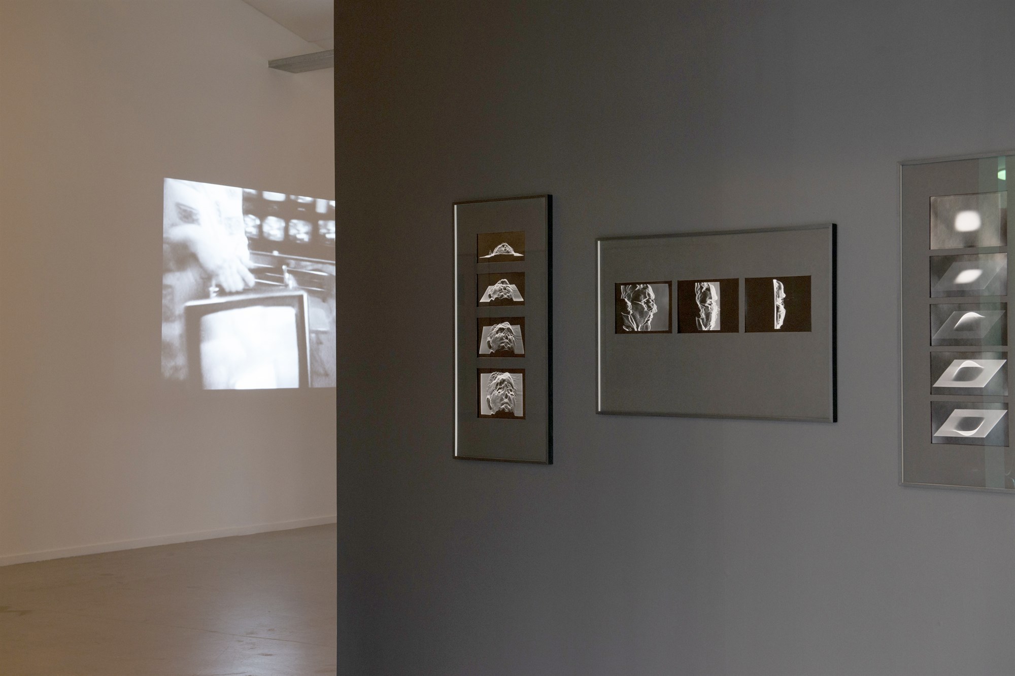 Rækta tengsl við nærsamfélagið