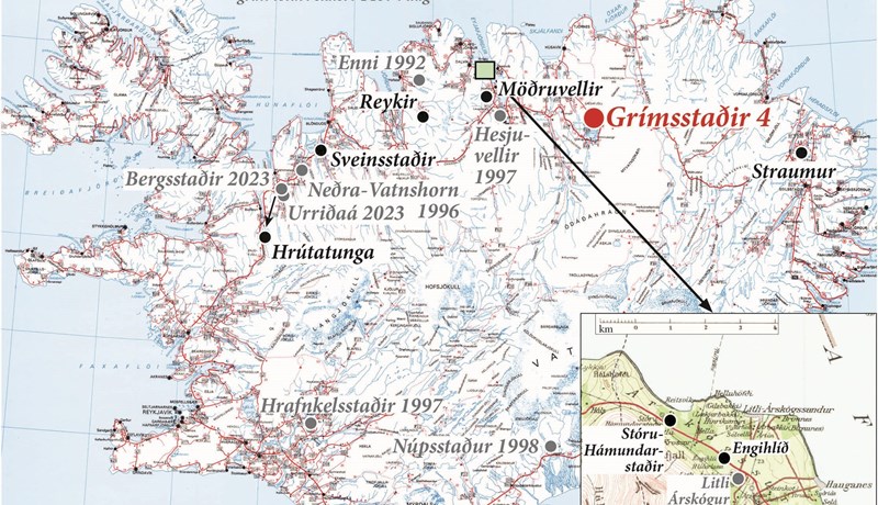 Breytileikinn T137 fannst á Grímsstöðum
