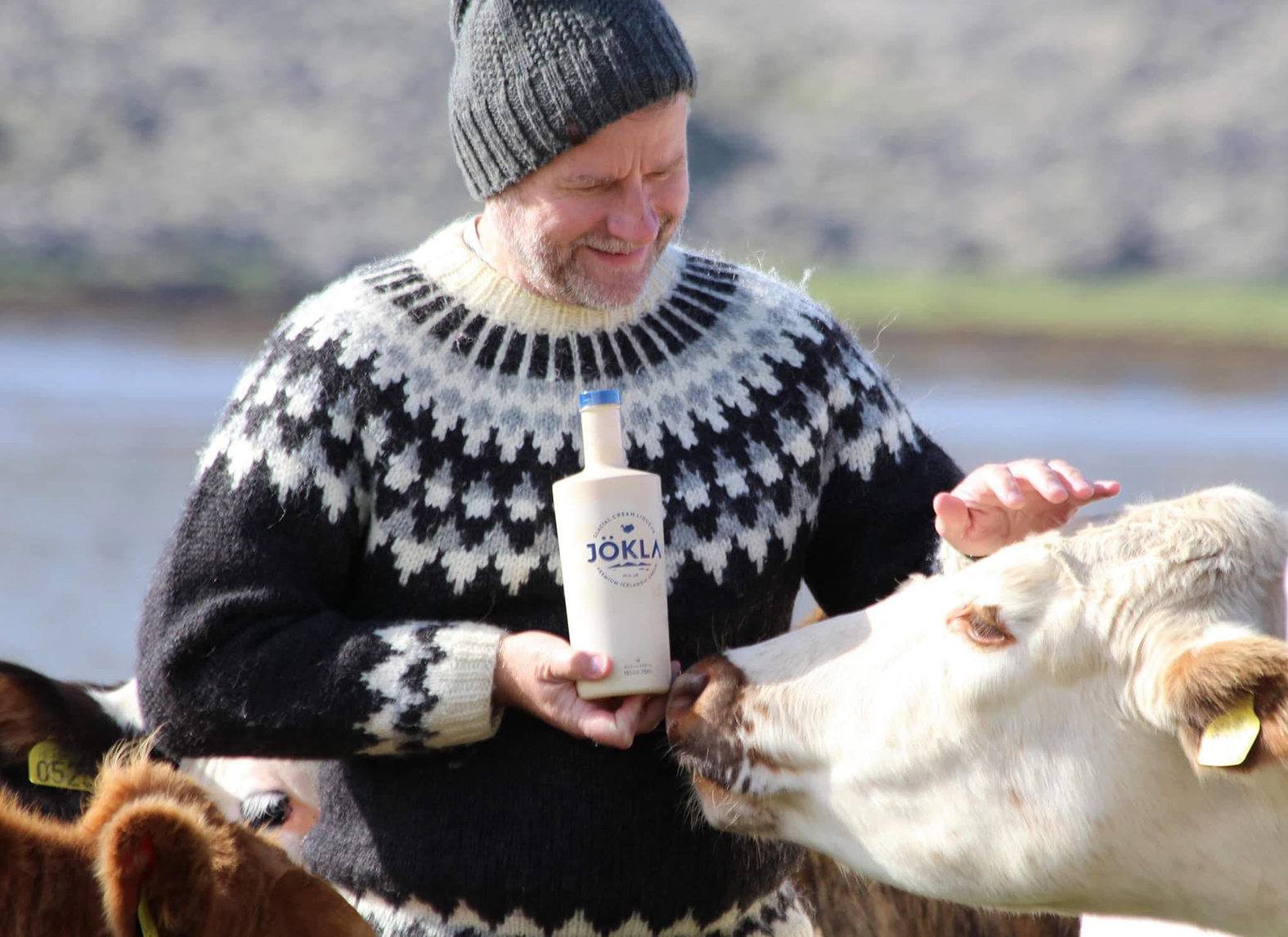 Jöklapeysur úr íslenskum lopa