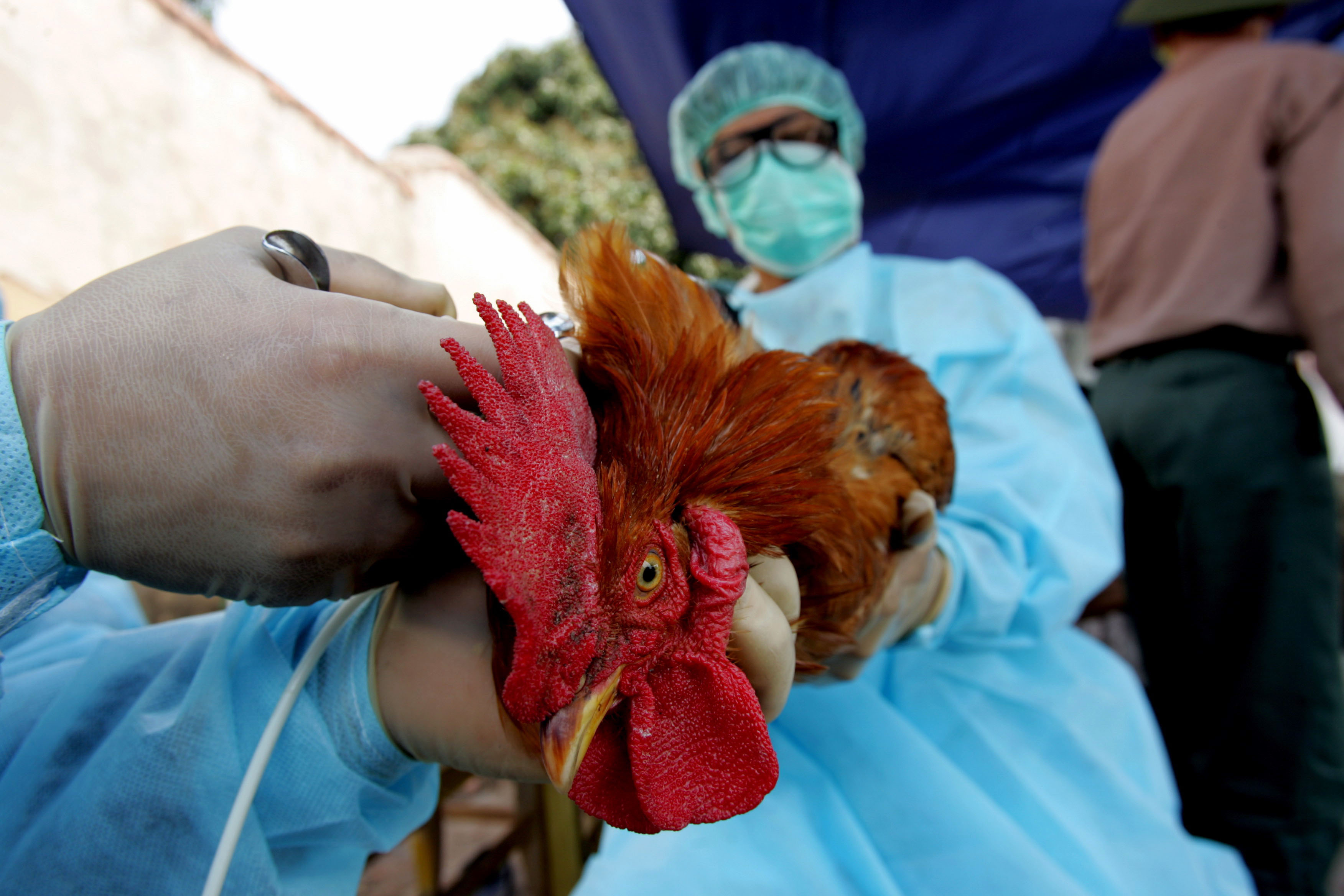 Reynt að forðast heimsfaraldur