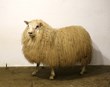 Arfgerðargreiningar og ásetningsval