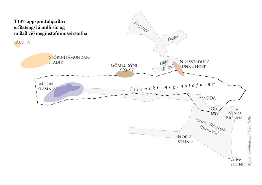 T137-uppsprettuhjarðir í nærmynd