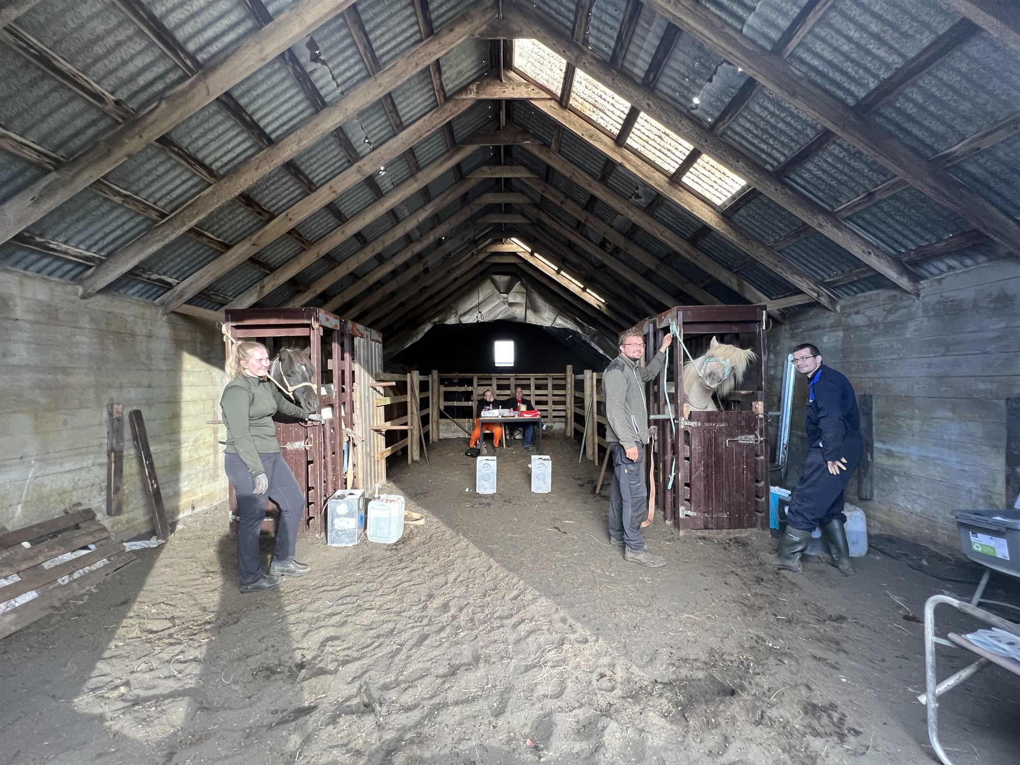 „Hryssurnar skipta okkur öllu máli“