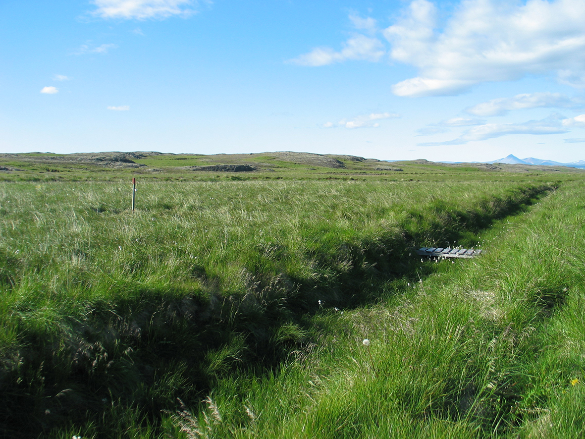 Fyrsta mat á losun á hláturgasi frá framræstu landi