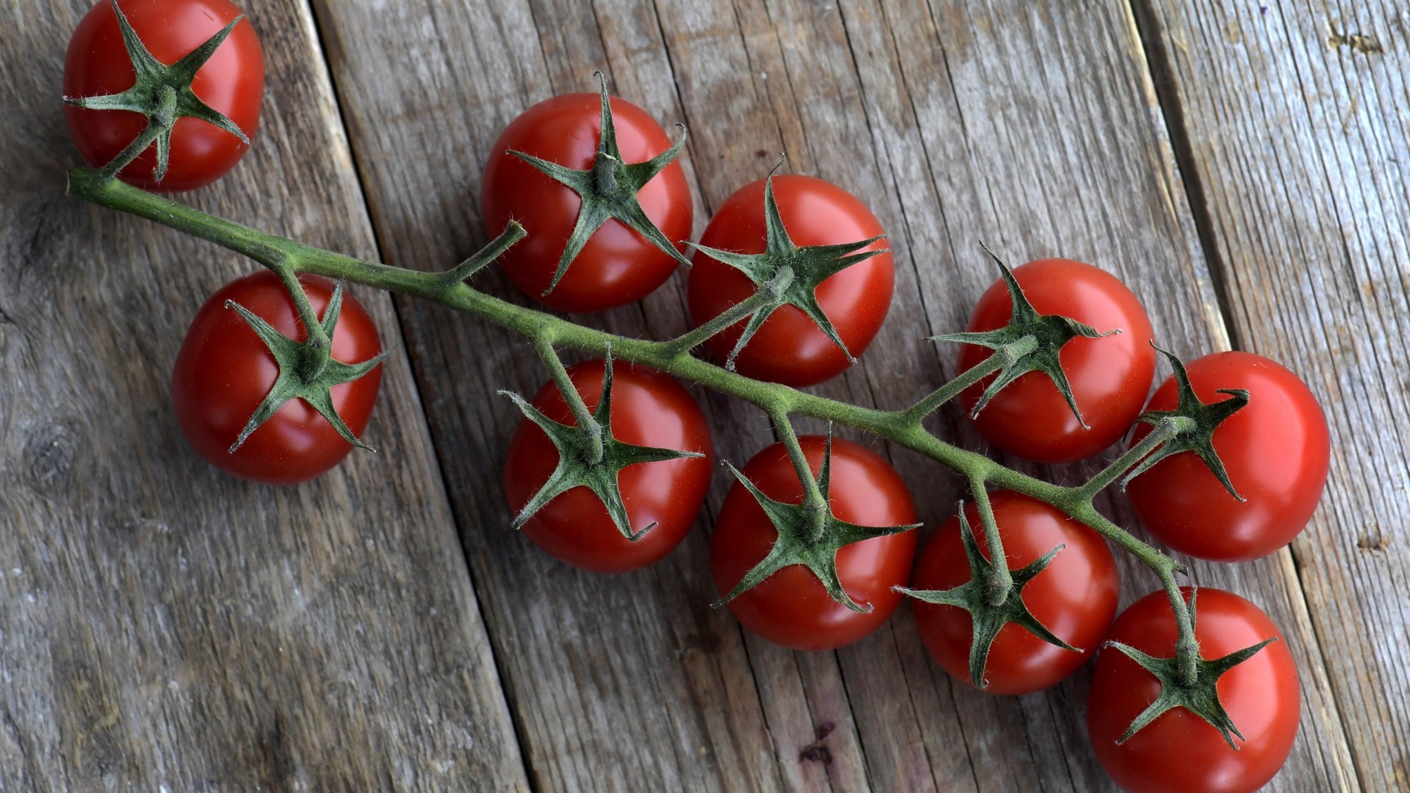 Bylgja salmónellusýkinga rakin til innfluttra smátómata