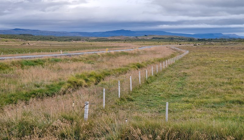 Styrkir til viðhalds veggirðinga