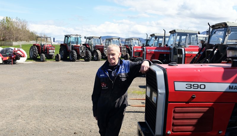 Eitt stærsta safn Massey Ferguson-dráttarvéla á landinu