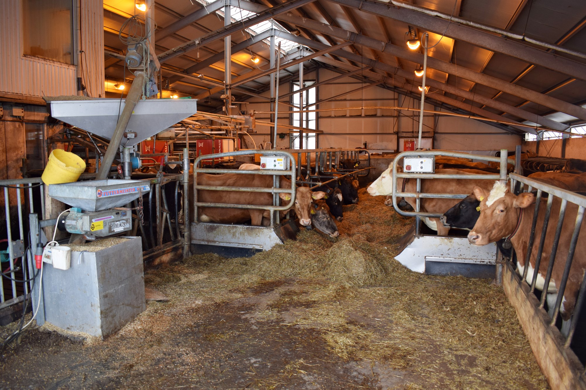 Að stærstum hluta hugsjónastarf sem gefur þó hærra afurðaverð