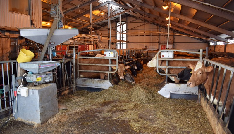 Að stærstum hluta hugsjónastarf sem gefur þó hærra afurðaverð