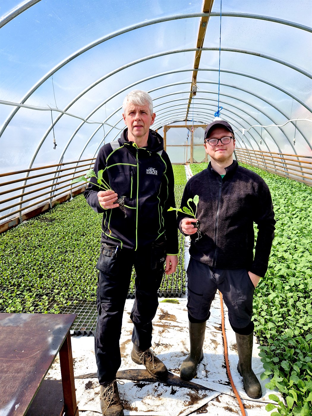 Grænmeti og mjólk fara vel saman